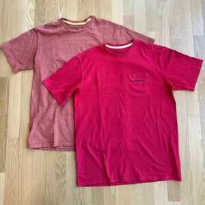 Patagonia Men’s L Fitz Roy Horizons Icon Responsibili-tee Tshirts red maroon